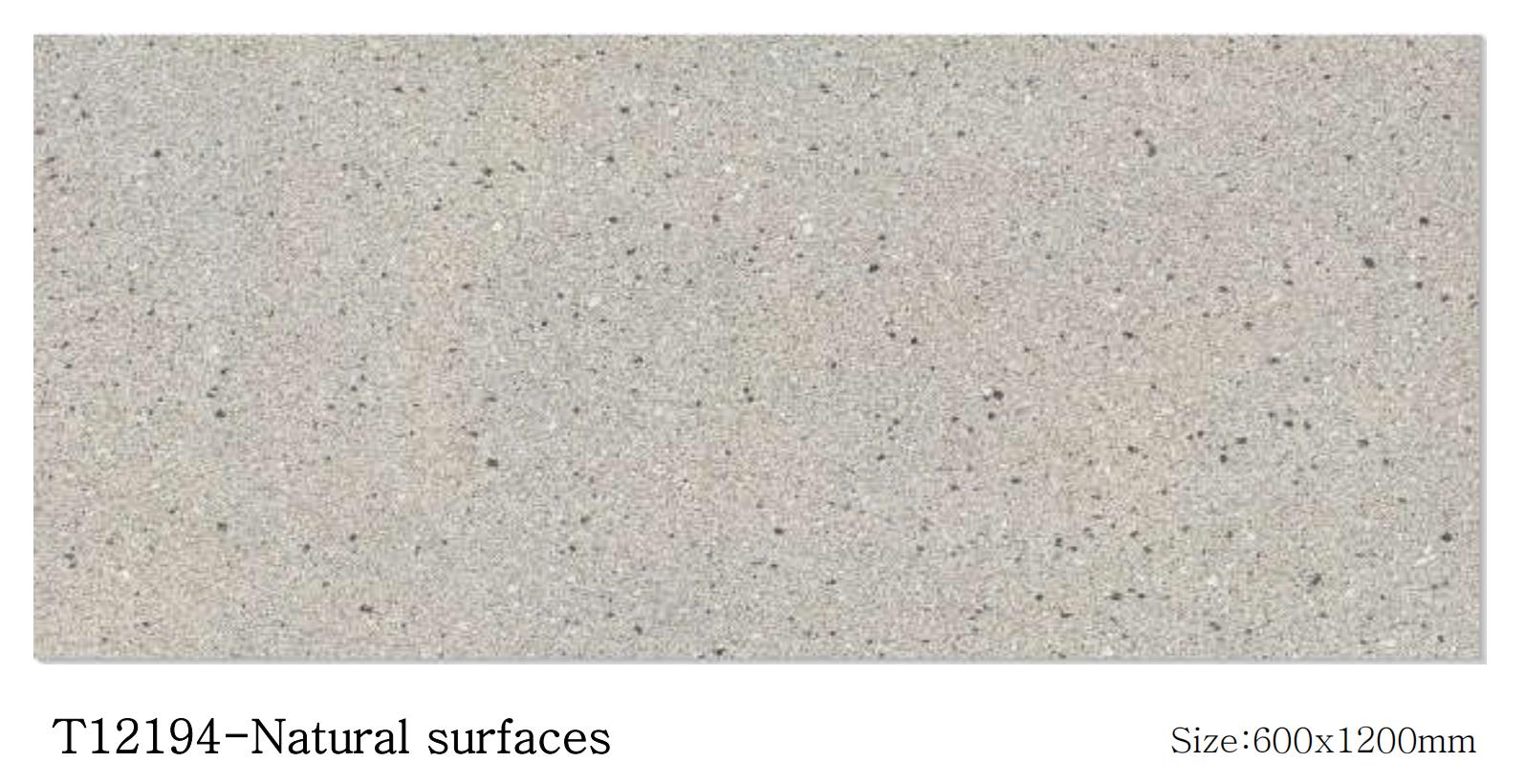 T12194-Natural surfaces.png