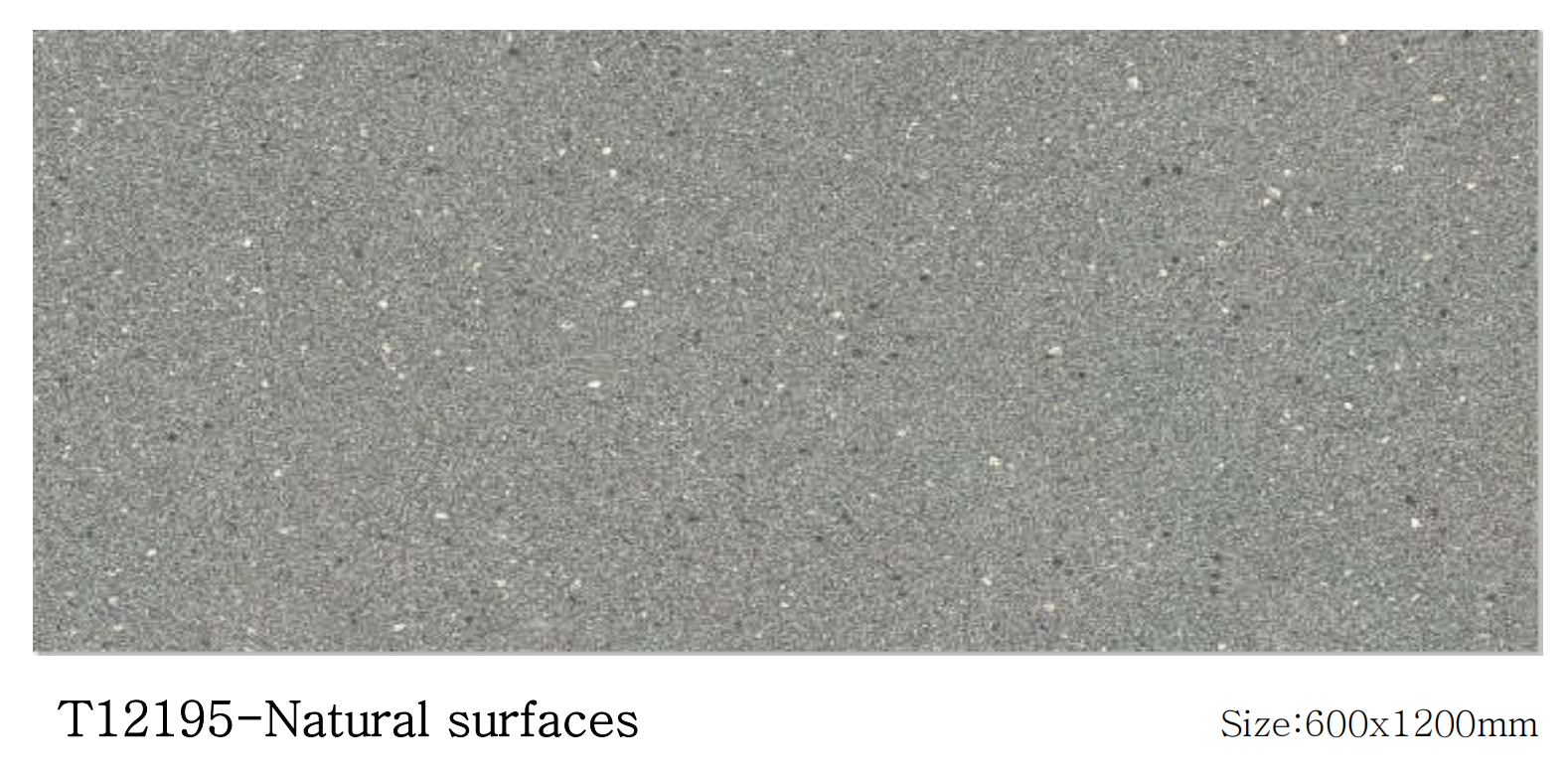 T12195-Natural surfaces.png